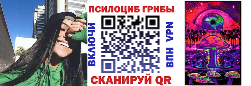 Псилоцибиновые грибы Psilocybe Октябрьский
