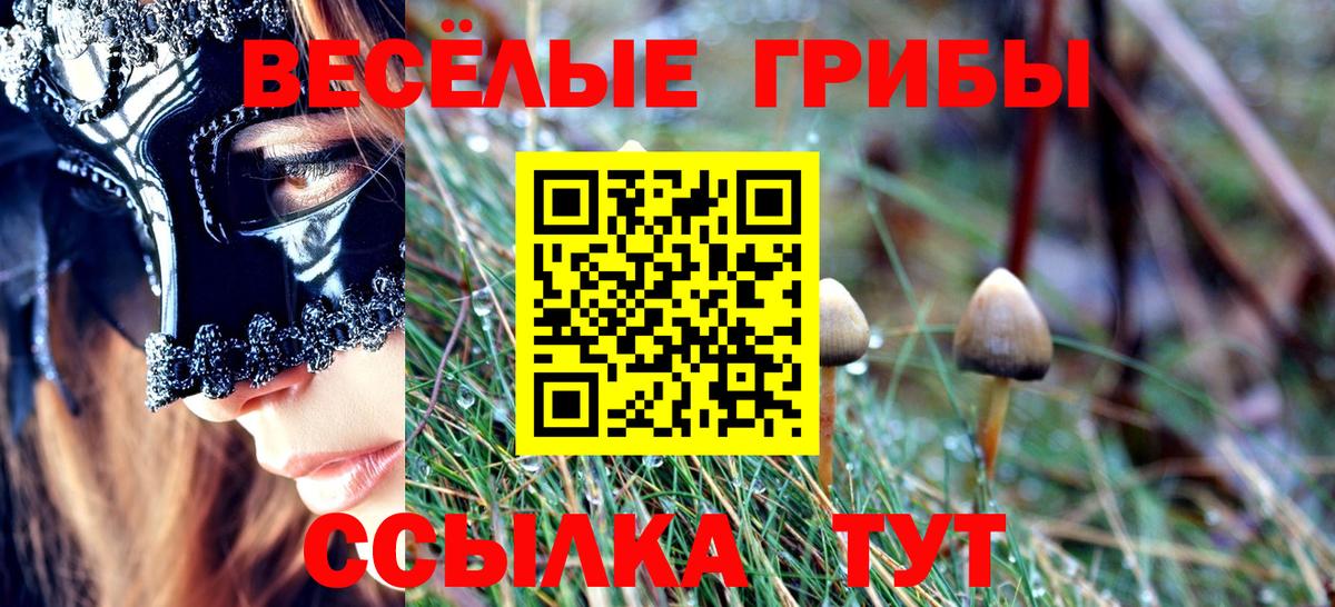 Галлюциногенные грибы мухоморы Октябрьский